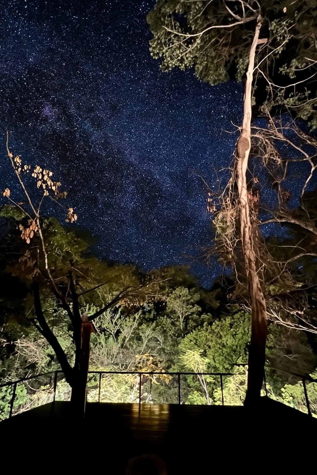 Observação de estrelas